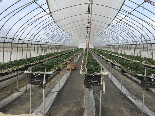 �قڑ��̃`�[���ƍ��킸�Ɏ����_�c���_��