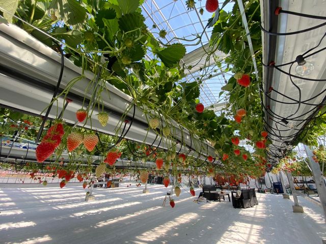 ��_�ƂƂ�׃t�@�[��