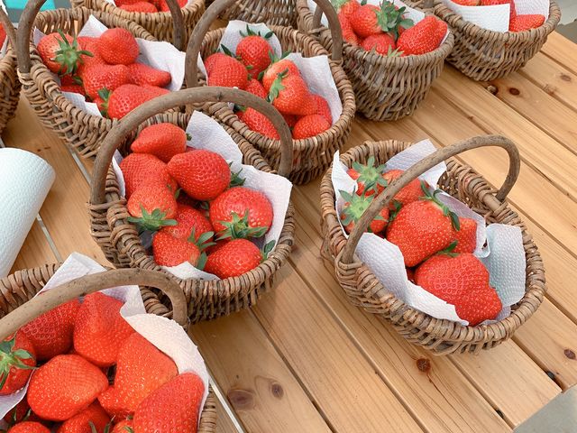 ��_�ƂƂ�׃t�@�[��