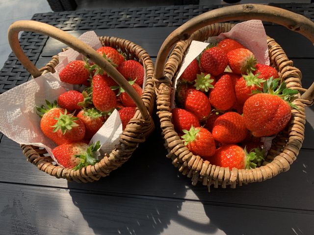 ��_�ƂƂ�׃t�@�[��