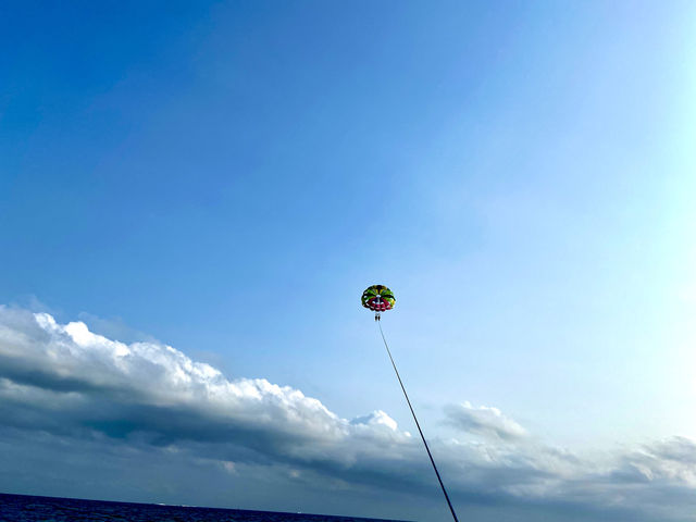 �p���Z�[�����O���ɎB���Ă����������ʐ^_�Ί_���u���[�V�[�T�[