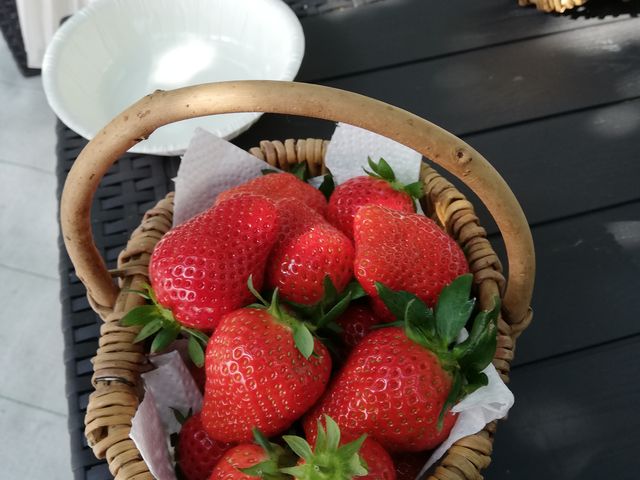 ���ǂꂢ�����@��悢�P_�ƂƂ�׃t�@�[��