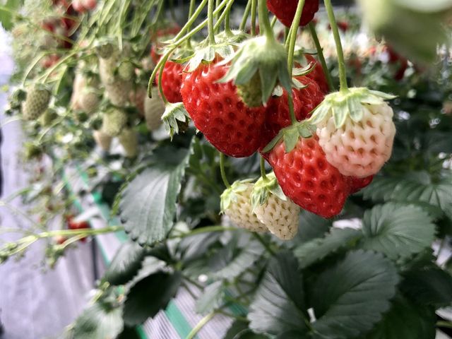 ���܁`���@������_�����o�v�_��