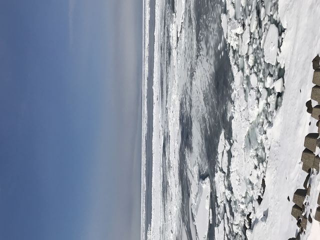 ���ɂ��Č��Ă��������i���j_���X