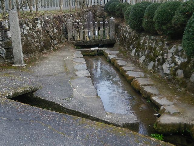 ��T����̒�c�_�Ђ̓��e�ʐ^2