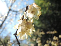 És_ƃZ^[@delaӂ[ނ̎ʐ^2