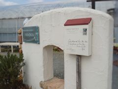 Ƃ񂳂̐V񂾔_ȉւ̓eʐ^1