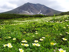 大雪山旭岳ロープウェイ アクセス 営業時間 料金情報 じゃらんnet