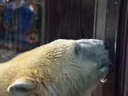 O`̏쓮 zbLNO}̓eʐ^1