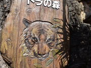 O`̏쓮 SEg̏ZސX̓eʐ^1