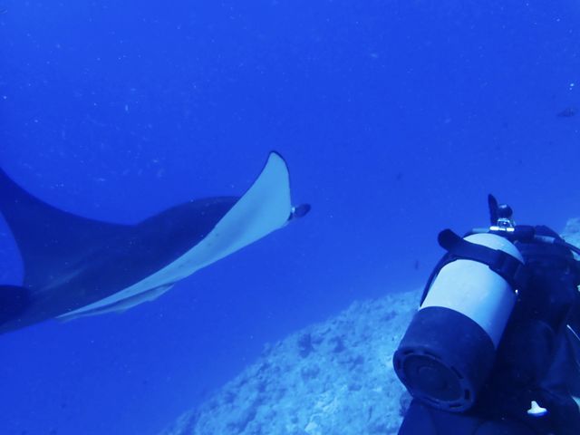 ���͖��_�̃}���^����B_�����C�g�Ί_���_�C�r���O�V���b�v