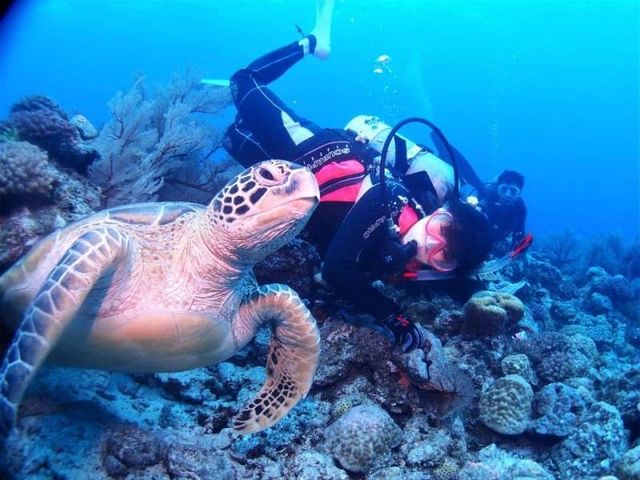 �A�I�E�~�K���ƃc�[�V���b�g_�p�C���[�c�}�����N���u