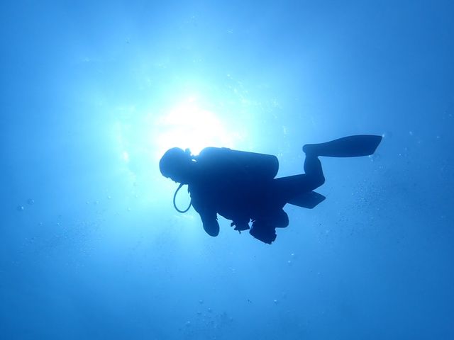 ���C�ɓ���̈ꖇ_�p�C���[�c�}�����N���u