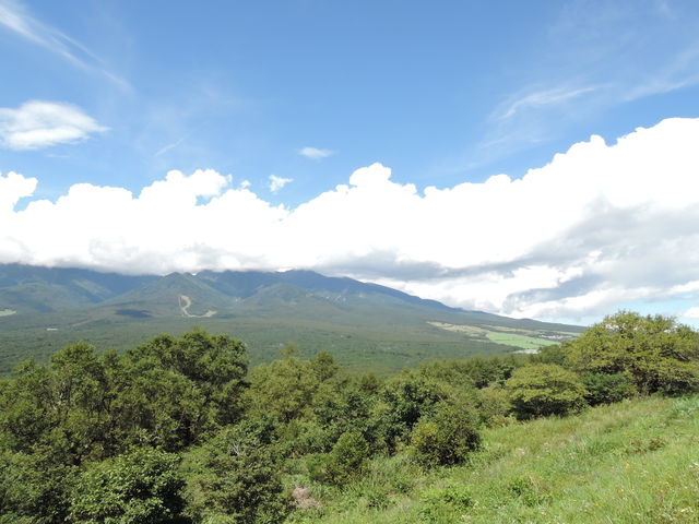�E���̕��i_����