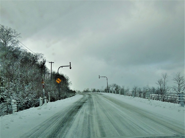 �u��i�F�̃I���t��������t�߂̓��H�v(�W�]��ւ͓~�����~�߂�)_�I���t����