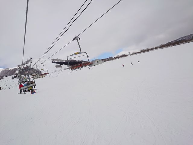 ���C���o�[���͊ɎΖ�_�⌴�X�L�[��