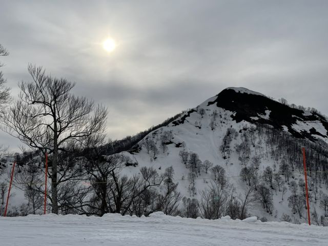 �[�����Y��ł�_�⌴�X�L�[��