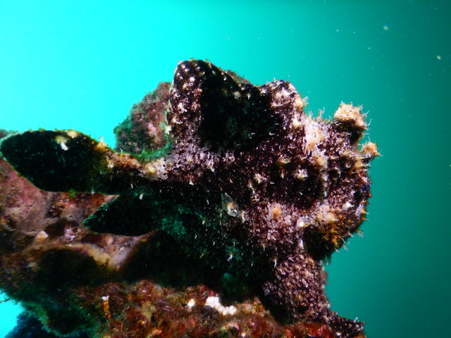 iynẽAC_CrOXN[̓eʐ^2