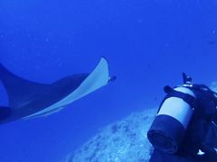 ̃CgΊ__CrOVbvւ̓eʐ^1