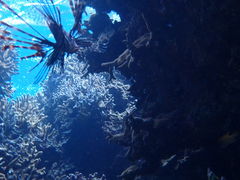 ₩Nature Guide Double Rainbow lC`[KCh@_uC{[ւ̓eʐ^2