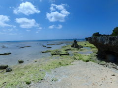 ₩Nature Guide Double Rainbow lC`[KCh@_uC{[ւ̓eʐ^3