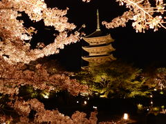 東寺 教王護国寺 の口コミ一覧 じゃらんnet