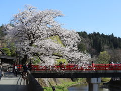 �V���R����񂳂�̒����ւ̓��e�ʐ^1