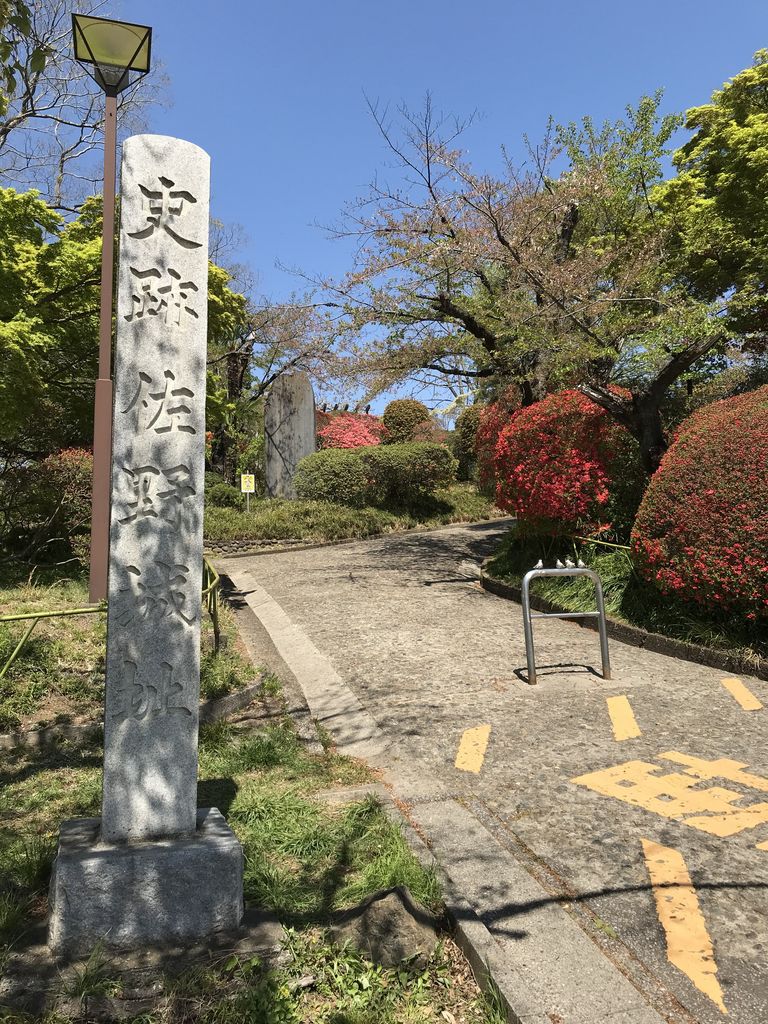 古木 サツキ盆栽 太幹 荒肌 自然樹形 山採り風 楡木駅周辺の動物園・植物園ランキングTOP10 - じゃらんnet