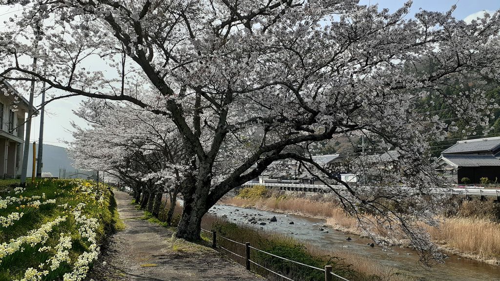 名張駅周辺の観光スポットランキングtop10 8ページ目 じゃらんnet 名張駅周辺の観光スポットランキングtop10 8ページ目 じゃらんnet