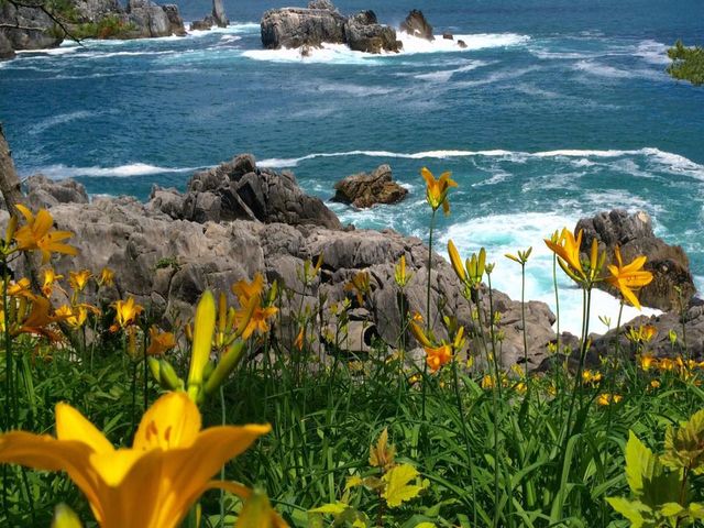 悤񂳂̃jbRELXQ̓eʐ^3