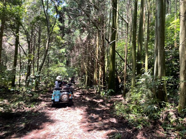 �W�����O�������ڂ̃G���A�Ńp�`��_���X�g�n�E�X�@�X�̂����/�A�N�e�B�r�e�B�v���l�b�g�_��