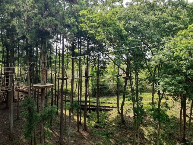 ���o�C�����ł����A����Ă݂��犵��܂��B_�t�H���X�g�A�h�x���`���[�E����