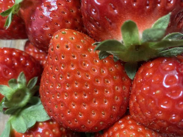 ���y�Y�������ł�^ ^_�z���܂�_��