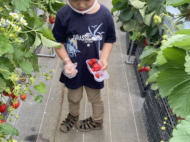 ���@2�Ԗڂł����嗱���S�b�\���I_�������E�u���[�x���[�_���@�x���[�̋�