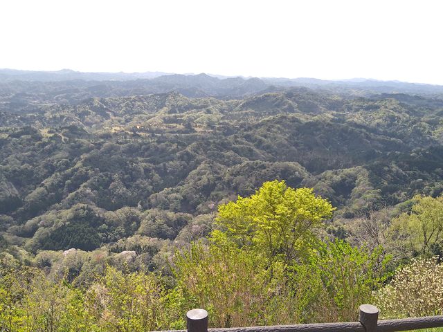 �Y��Ȓ��߂ł���_����R��\��J�W�]����