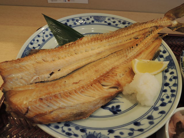 傫Ȃق_znH  񂷂ĉRX