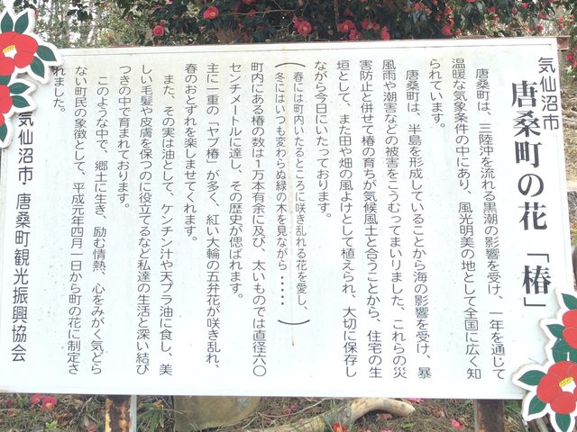 悤񂳂̓K̒ւ̓eʐ^2