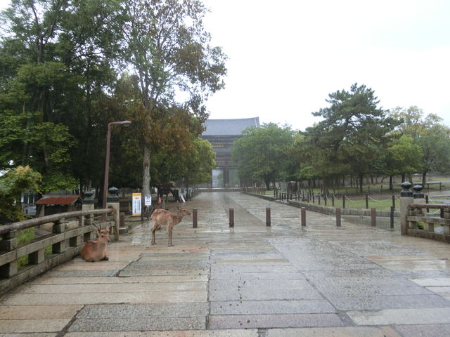 ���厛�~���[�W�A��