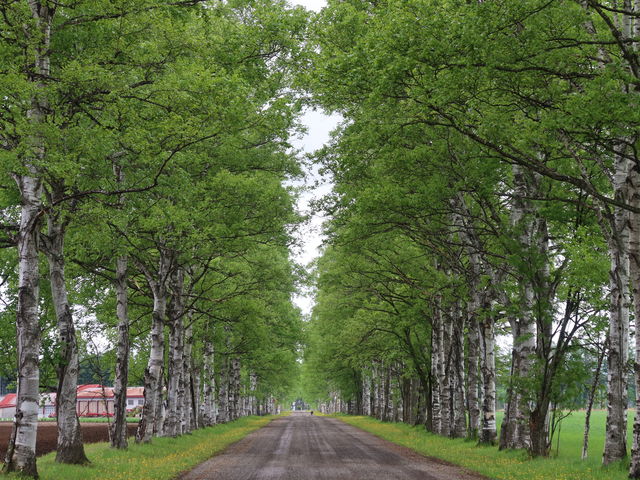 yosshỷƒ{ǃZ^[\qW]̓eʐ^4