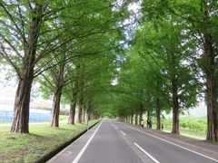 Ă̃^ZRCA؂ւ̓eʐ^1