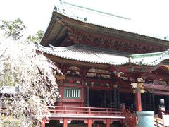 たれれったさんの鹿野山神野寺への投稿写真1