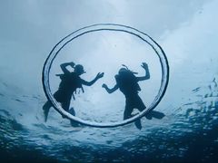 ̂񂳂̐̓A _CrOVbvaւ̓eʐ^1