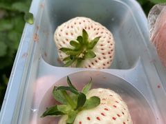 [̂Eu[x[_@x[̋ւ̓eʐ^1