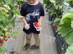 [̂Eu[x[_@x[̋ւ̓eʐ^2