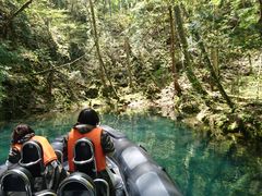 ݂񂳂̃BgJ̓]ւ̓eʐ^1