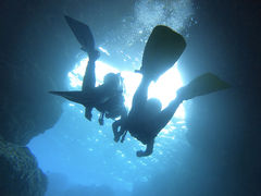 ɂۂ̐̓A _CrOVbvaւ̓eʐ^1