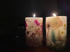 SEND Hiroshimaւ̓eʐ^2