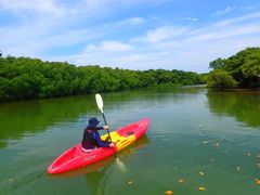 Ί_ ADVENTURE PiPi̎ʐ^1