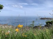 悤񂳂̃jbRELXQ̓eʐ^1