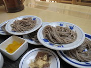 񂳂̏oΎMΉԐؐ_˃n[o[hX̓eʐ^9